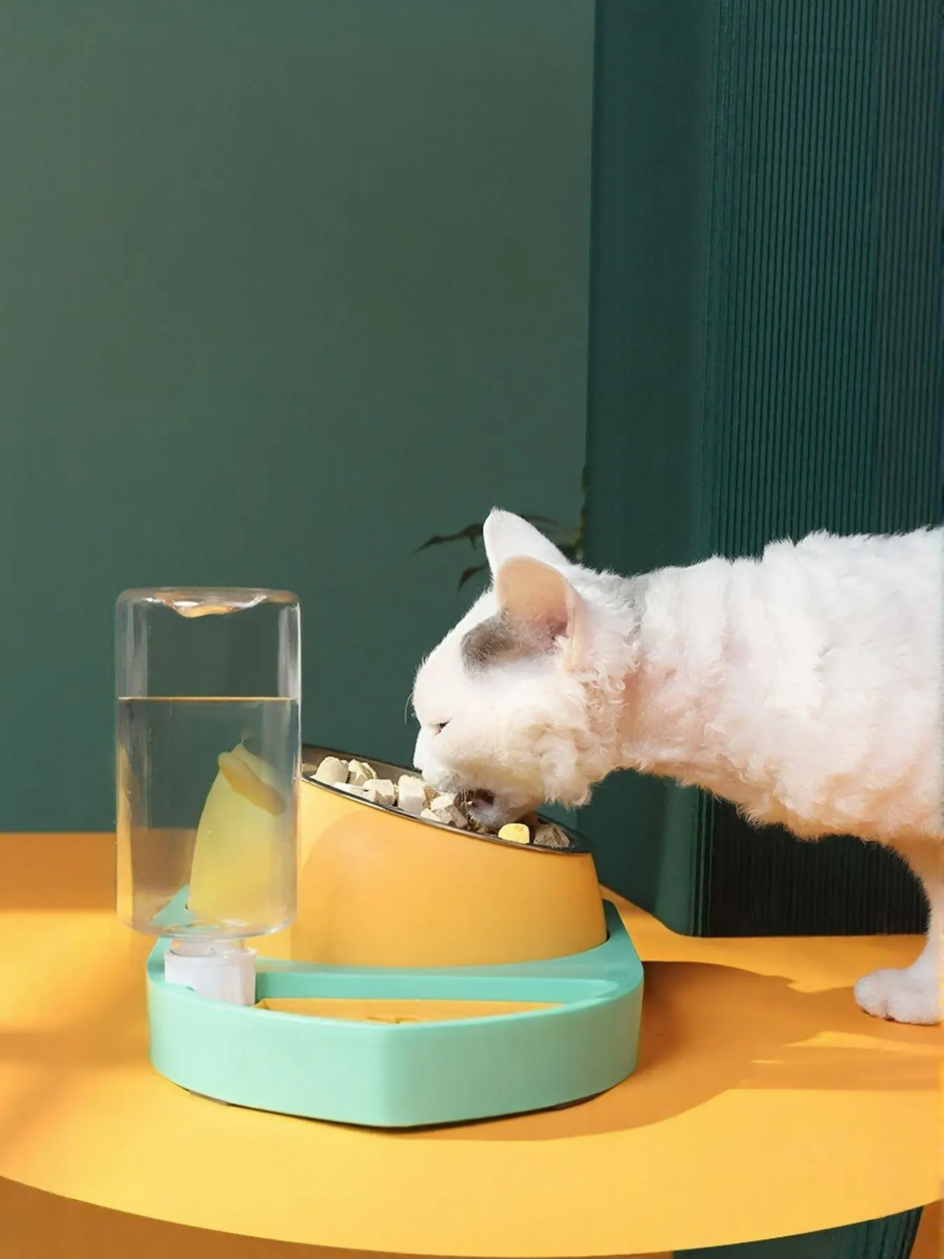 Automatic Water Refill Pet Bowl