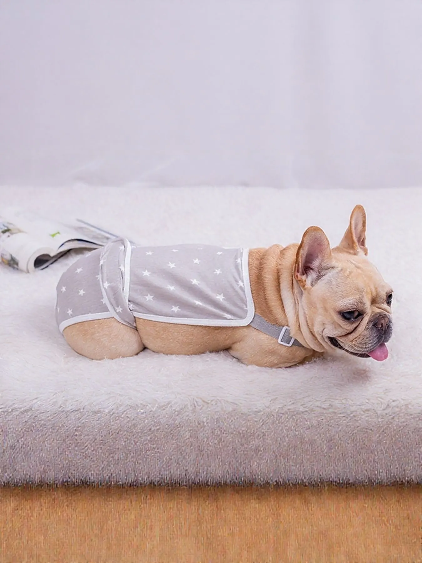 Anti-Harassment Pet Functional Clothing