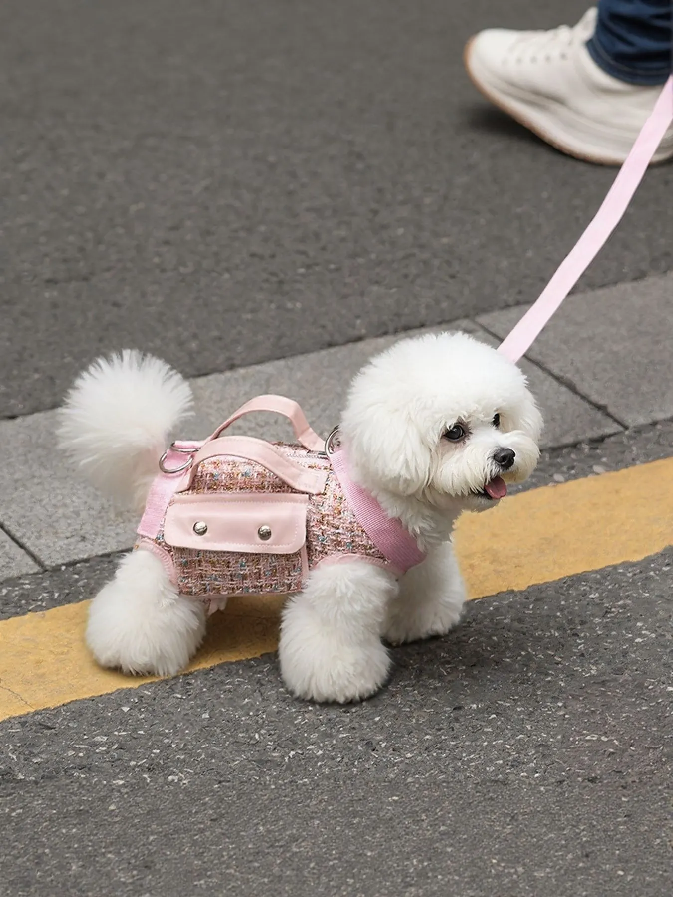 Tweed Pet Harness with Strap