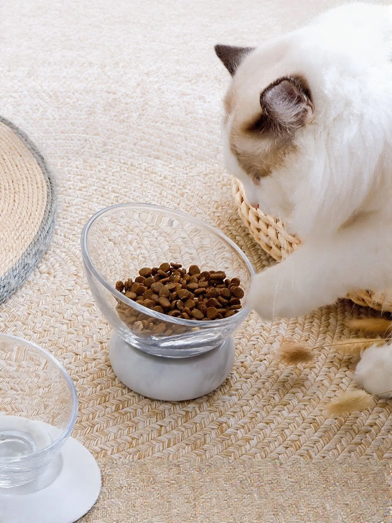 Elevated Tilted Non-Slip Clear Pet Bowl