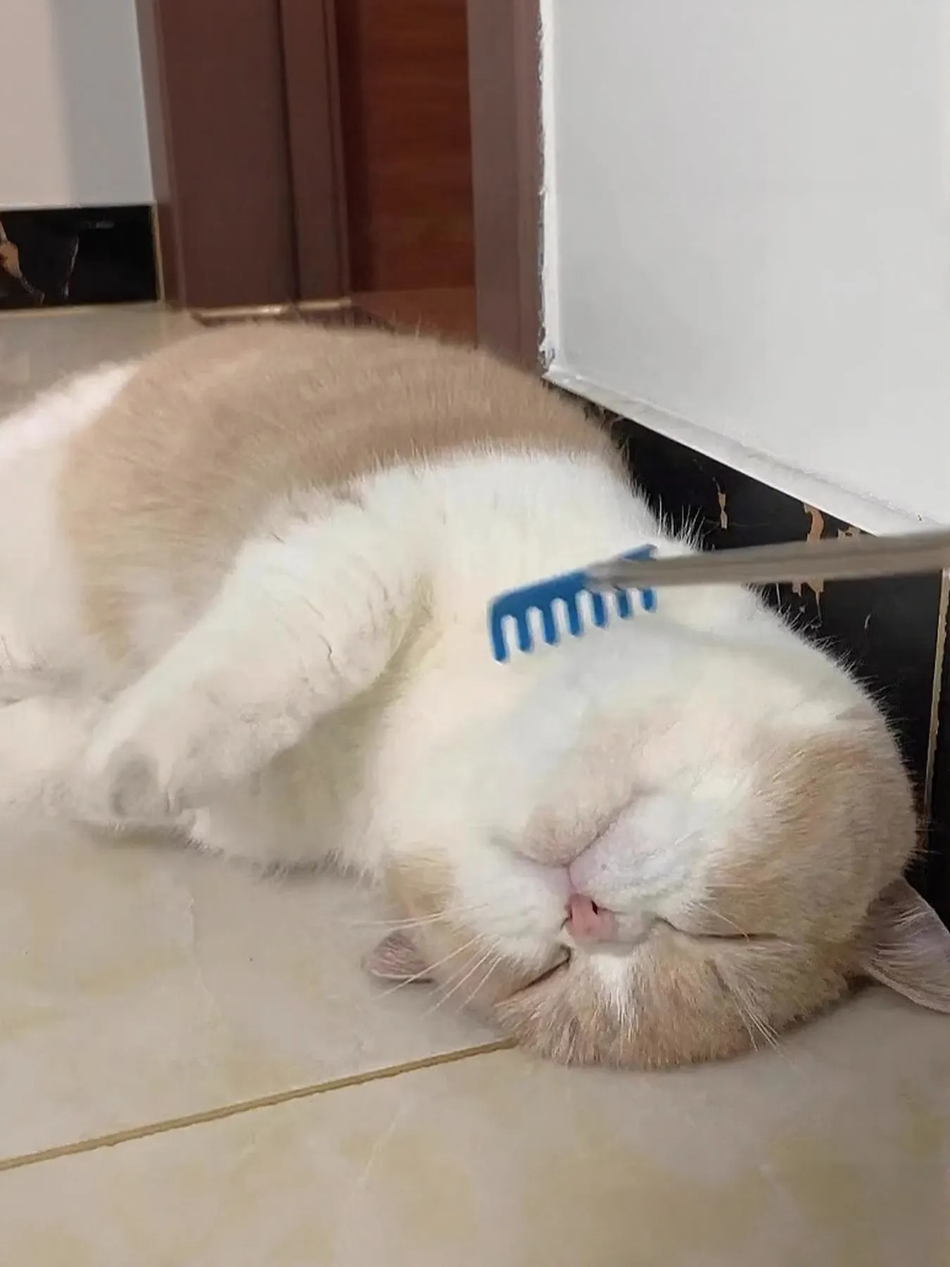 Pet Grooming Comb
